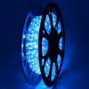 LED Rope Light 50ft Blue