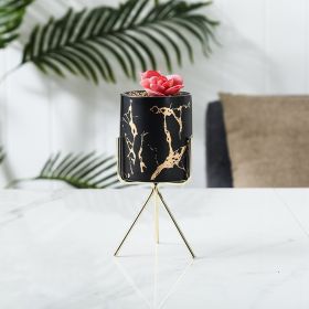 Marble Gold Pattern Succulent Iron Art Ceramic Pot Pen Holder Hydroponic Container (Option: Black large-Gold shelf)